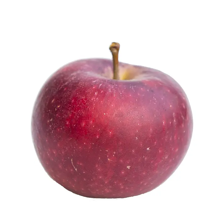 Æble - Ingrid Marie