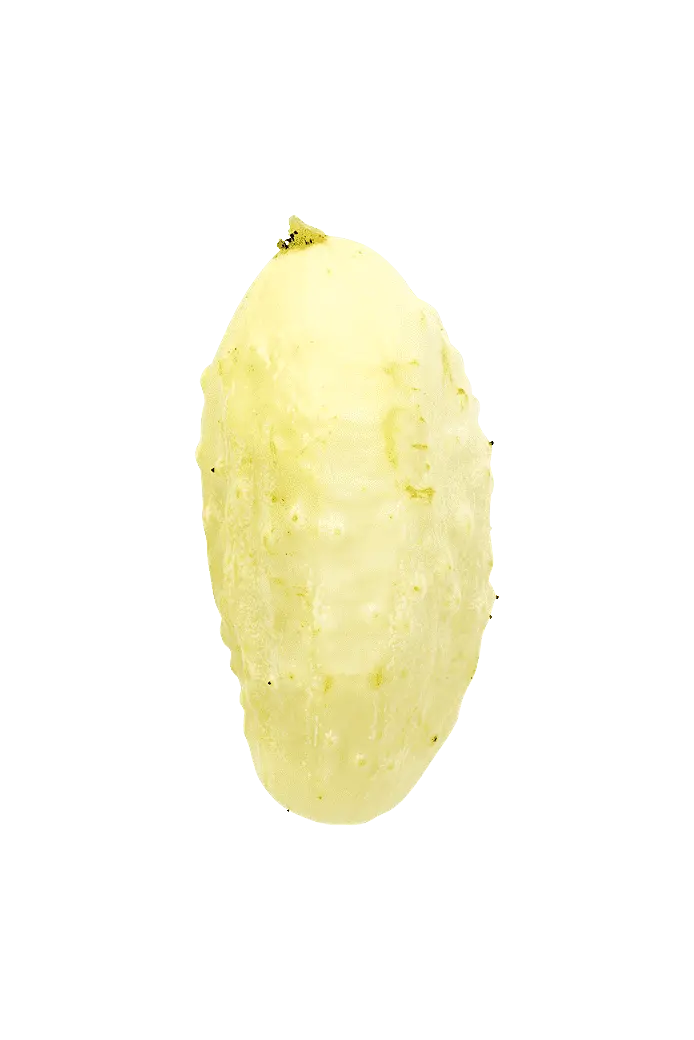 Gurka (Miniature white)