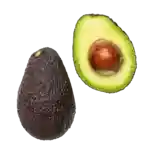 Avocado, formodnet