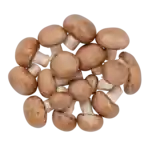 Brune champignoner (DK)