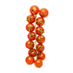 Cherrytomater på gren