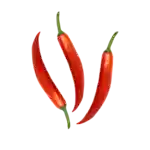 Chili - röd