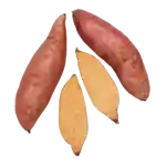 Sötpotatis