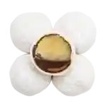 Summerbird Snöbollar