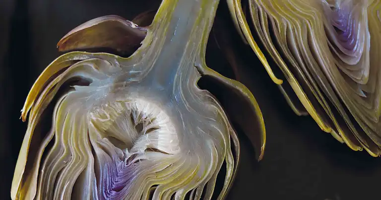 Artiskok med kartoffelragout og bresaola