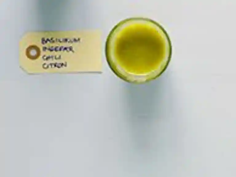 Basilikum, ingefær, chili, citron - shot