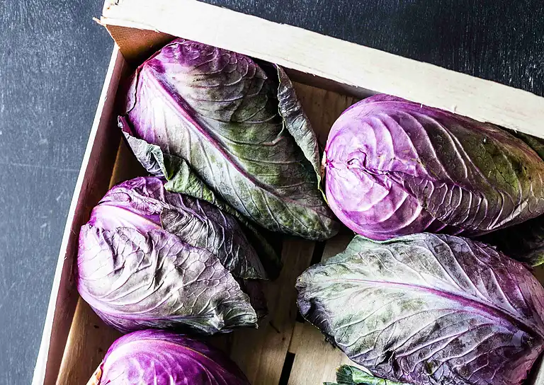 Kål med tahin og nøddeknas