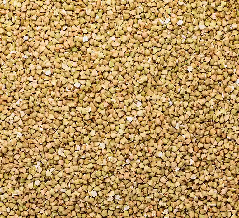 Kornsalat med pak choy, sort peber og ingefærsalsa