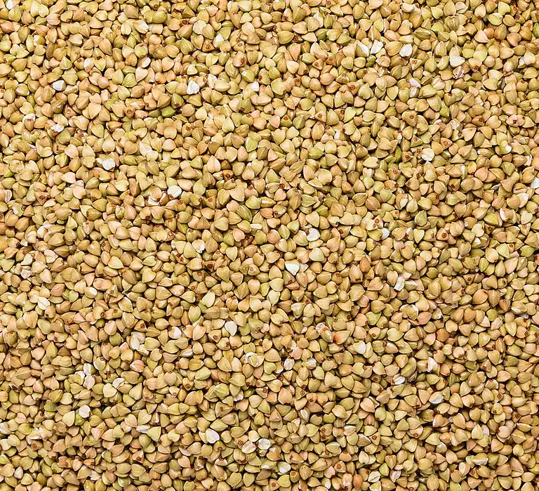 Kornsalat med pak choy, sort peber og ingefærsalsa