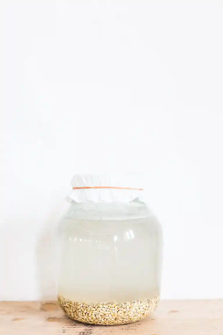 Rejuvelac - hvedebryg