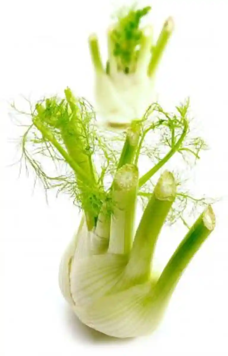 Fänkål med parmesan